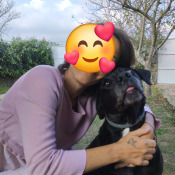 Chico