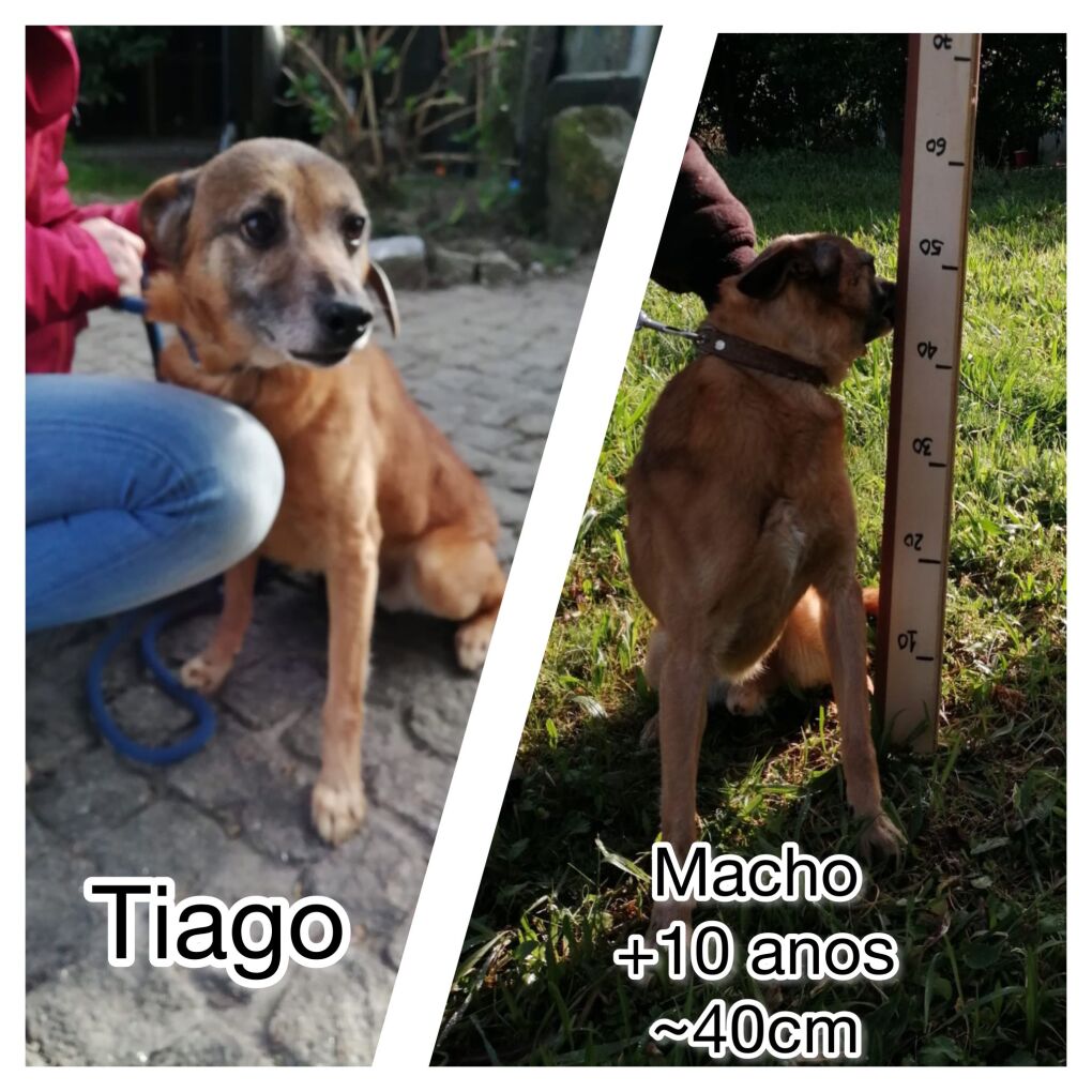 Tiago